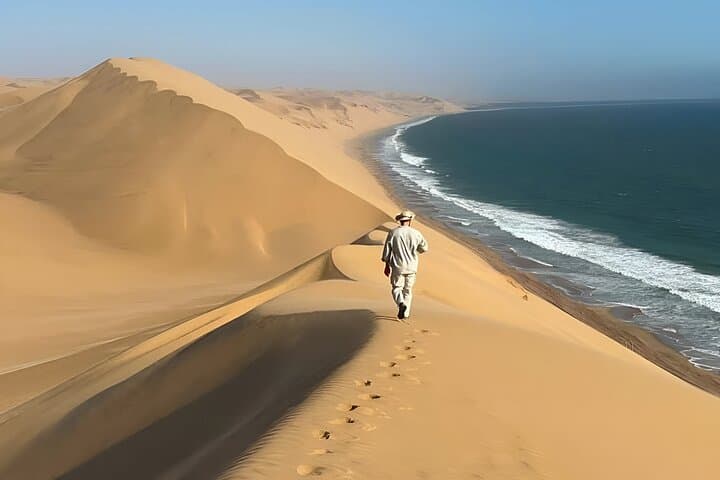 Doha Quad Bike, Dune Bashing, Camel Ride and Inland Sea Tour