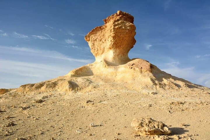Explore North and West Qatar – Full-Day Adventure