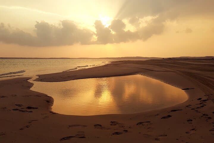 Doha: Sunrise /Sunset Desert Safari with Sand Boarding,Camel ride